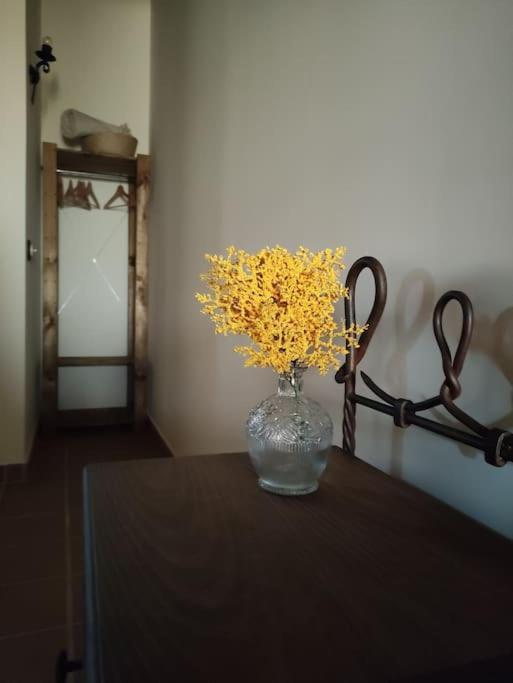 Апартаменты La Casa De La Abuela Amalia Аренас-де-Сан-Педро Экстерьер фото